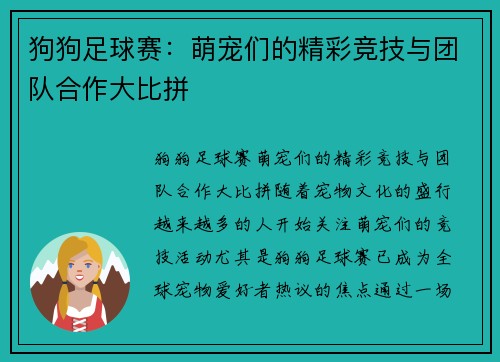狗狗足球赛：萌宠们的精彩竞技与团队合作大比拼