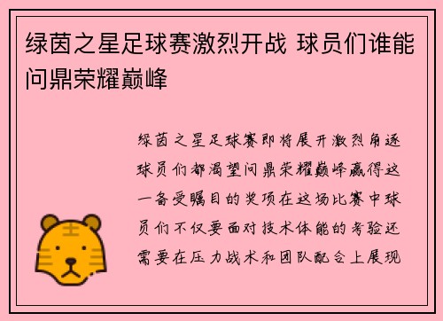绿茵之星足球赛激烈开战 球员们谁能问鼎荣耀巅峰