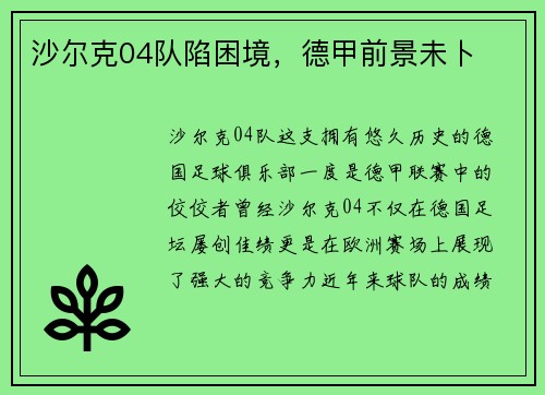 沙尔克04队陷困境，德甲前景未卜