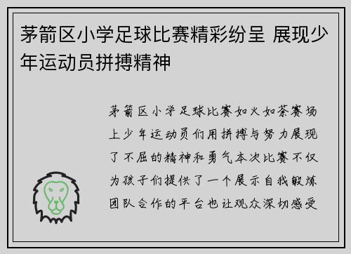 茅箭区小学足球比赛精彩纷呈 展现少年运动员拼搏精神