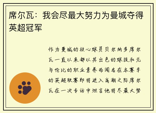 席尔瓦：我会尽最大努力为曼城夺得英超冠军