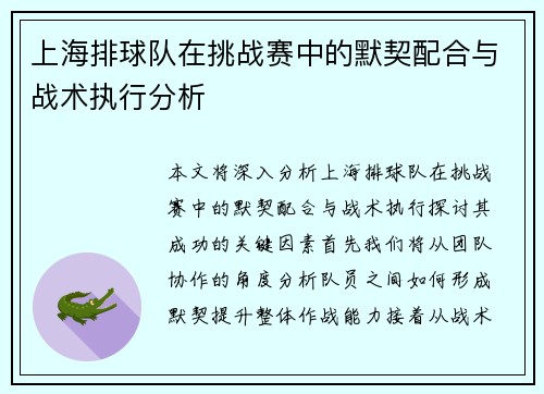 上海排球队在挑战赛中的默契配合与战术执行分析
