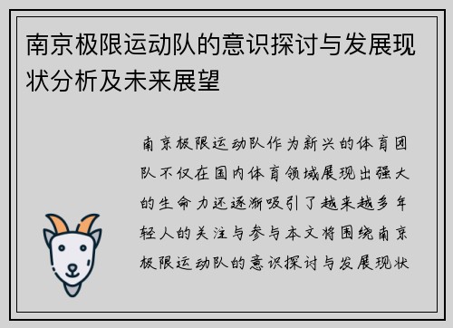南京极限运动队的意识探讨与发展现状分析及未来展望