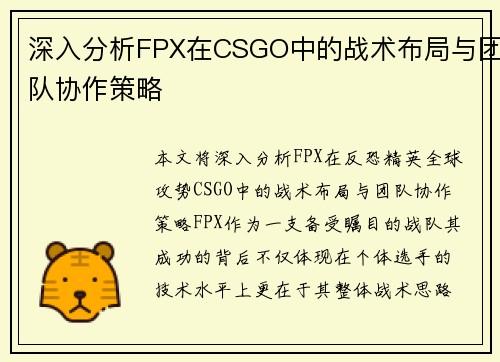 深入分析FPX在CSGO中的战术布局与团队协作策略